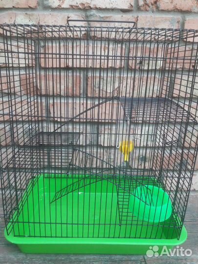 Эксклюзивные крыски дамбо сиам бурмиз и клетки