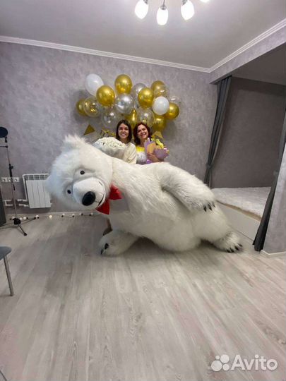 Поздравление Белого Мишки Ростовая кукла медведь