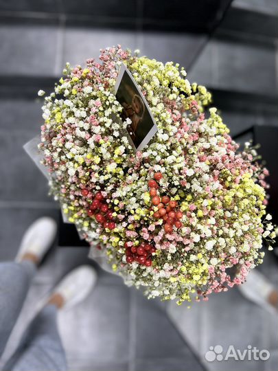 Гипсофила живые цветы букеты доставка