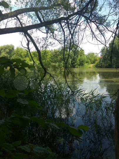 Дача 30 м² на участке 5,9 сот.