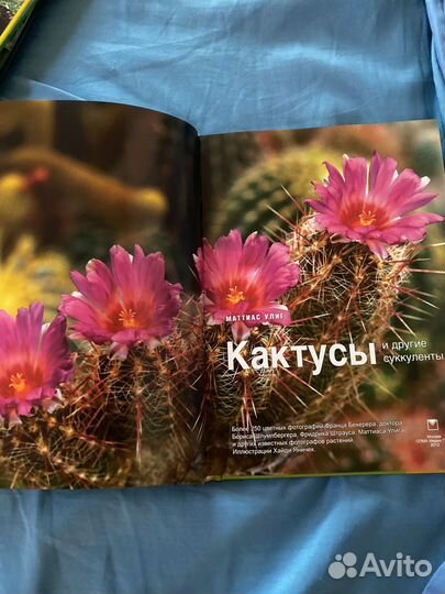 Книги о цветах саде дизайн участка