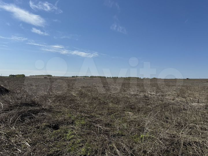 Участок 8,1 сот. (ИЖС)