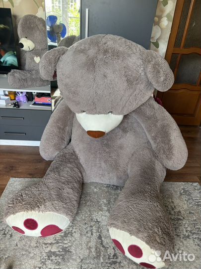 Продаю медведя