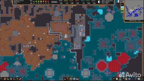 Dwarf Fortress (Steam)