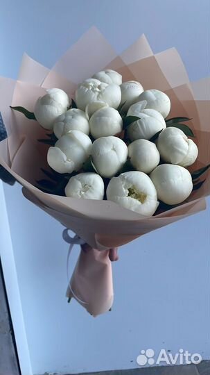 Букет из пионов 9.15.21.25.51 цветы доставка