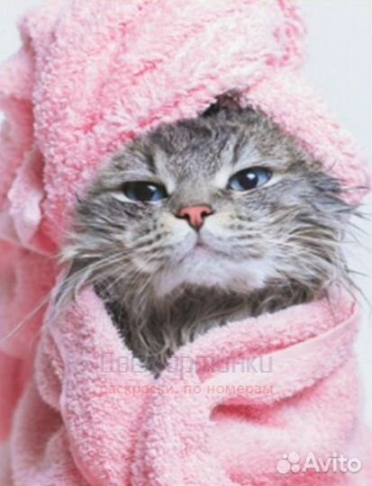 Алмазная мозаика 40x50 Кошечка в розовом полотенце