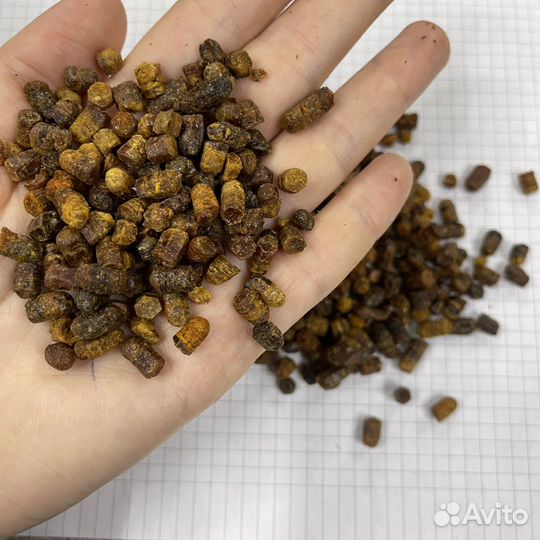 Перга пчелиная