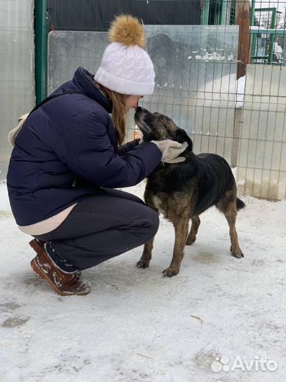 Нежная и робкая Баллин хочет домой