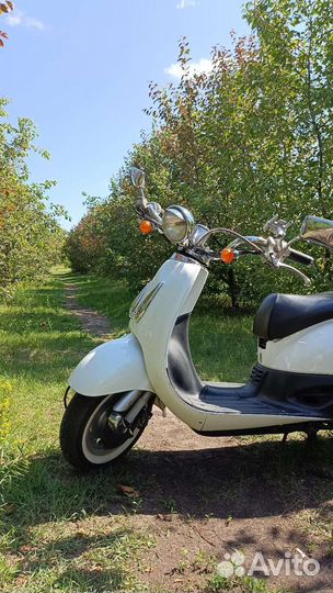 Сертификат аренда скутера мопеда