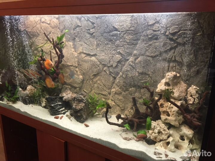 Аквариум 450 литров пластик абс вишня