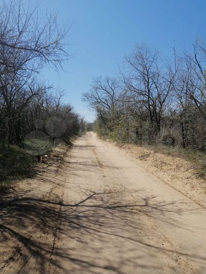 Участок 6 сот. (ИЖС)