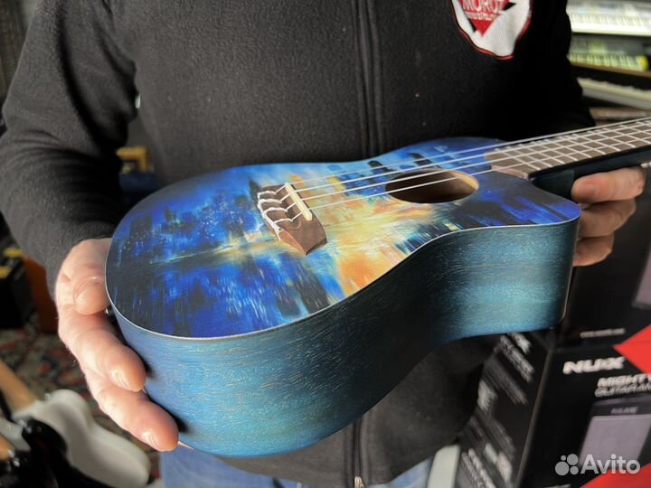 Укулеле flight концерт