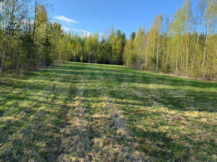 Участок 100 сот. (СНТ, ДНП)