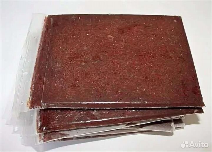 Артемия замороженная