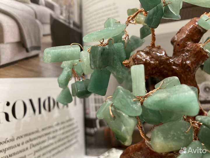 Денежное дерево