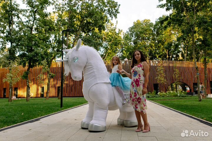 Ездовая Ещинорожка