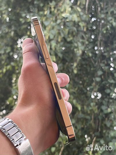 iPhone 12 Pro Max Gold