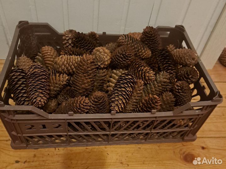 Еловые шишки 90 шт
