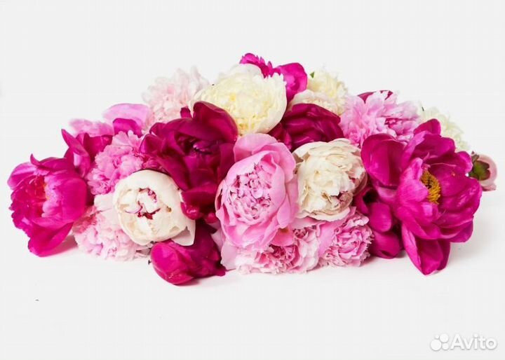 Пионы для подруги