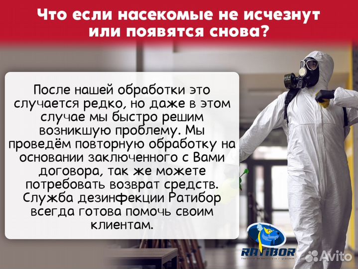 Уничтожение тараканов обработка от клопов муравьев