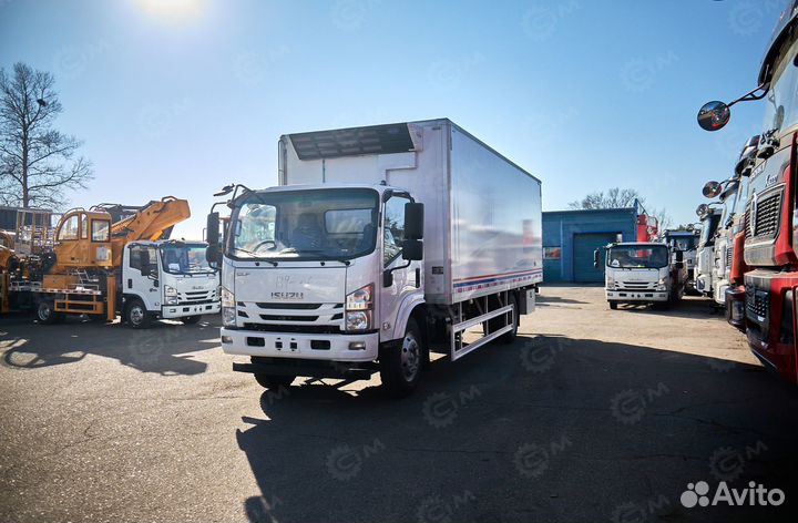 Рефрижератор Isuzu Elf, 2024