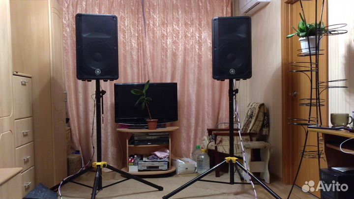 Ведущая тамада диджей