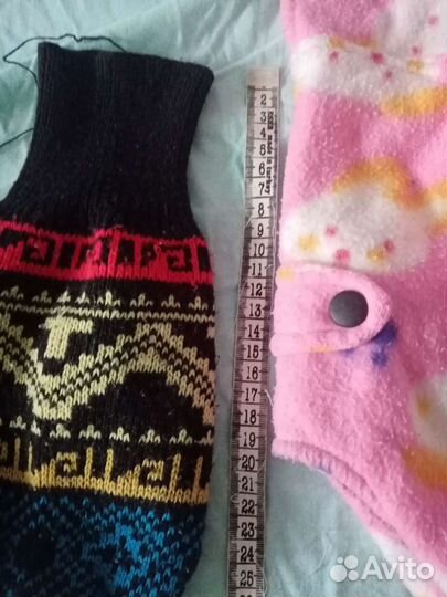 Вещи для животныхи