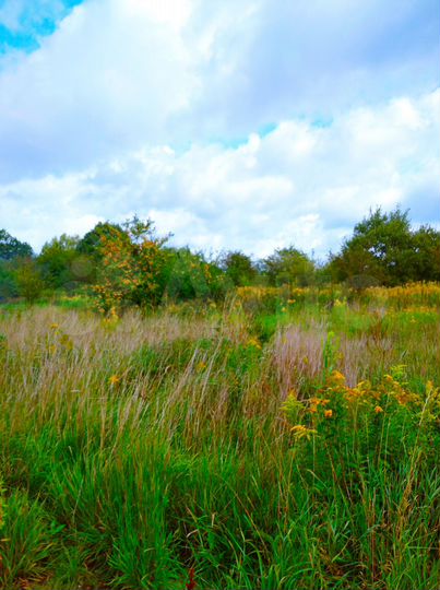 Участок 8,9 сот. (ИЖС)