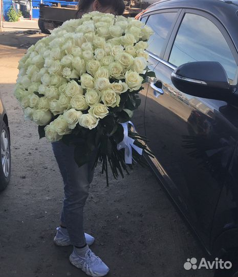 Розы Эквадор premium