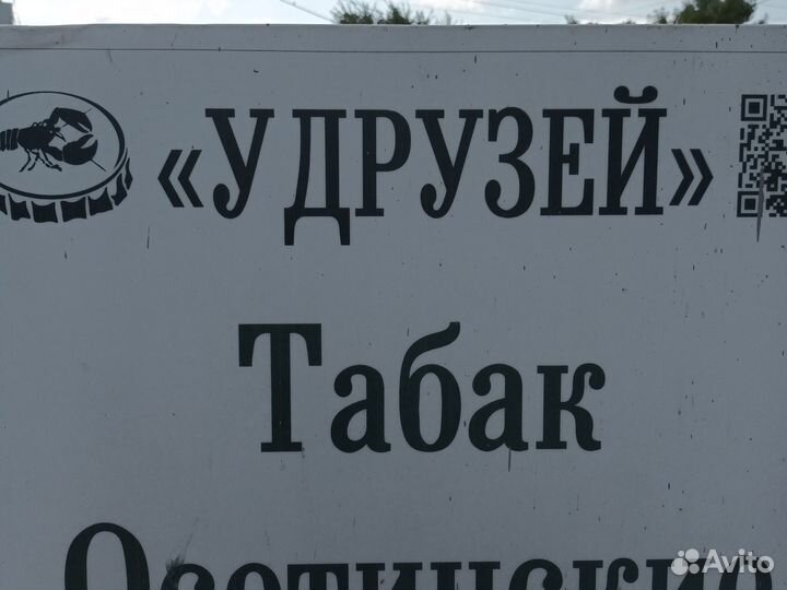 Продавец табачных изделий с ежедневной оплатой