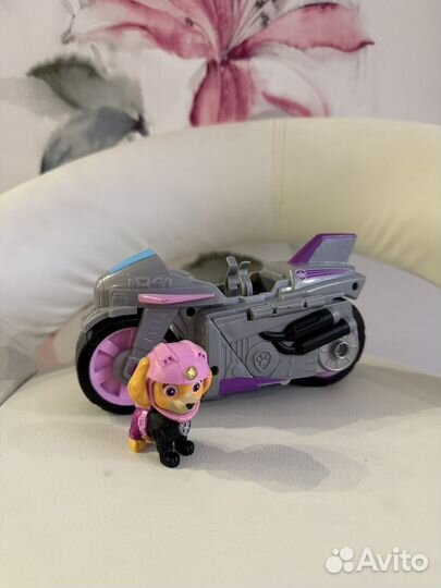 Скай на мотоцыкле