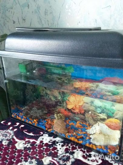 Аквариум