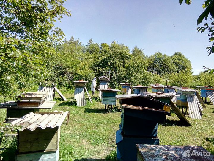 Пчеловодческий инвентарь