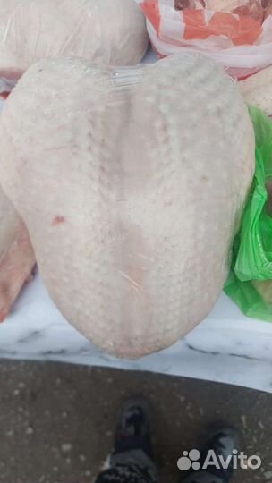 Мясо домашней птицы