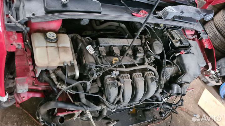 Двигатель Ford Focus 3 2.0 xqda