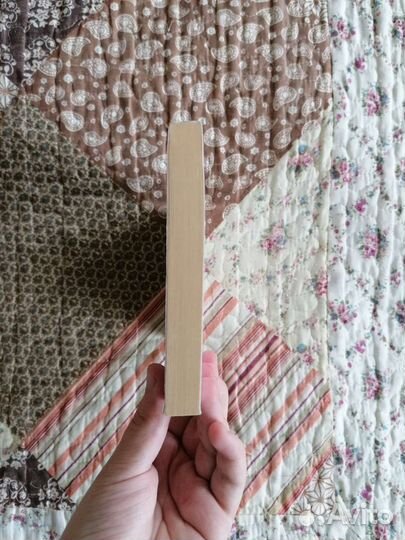 Before she met me (Julian Barnes)