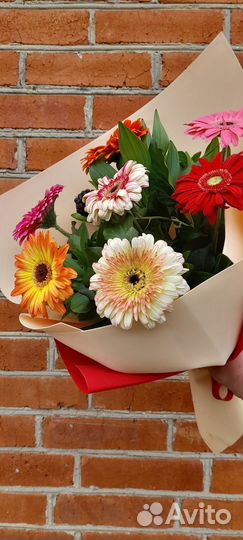 Цветы гербера