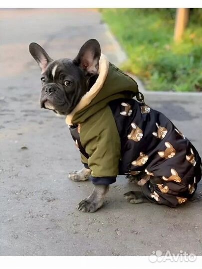 Одежда для собак Комбинезоны много