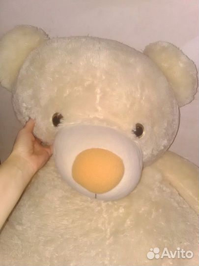 Плюшевый медведь
