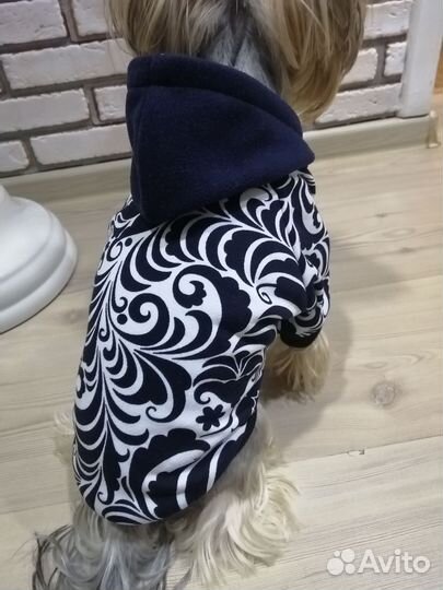 Одежда для собак