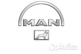 MAN 81612300196 Брызговик MAN