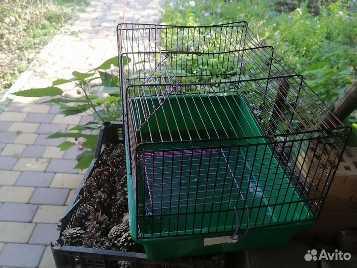 Клетка для грызунов бу