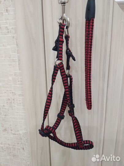 Поводок и шлейка