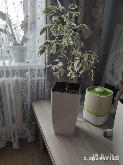 Горшок для цветов