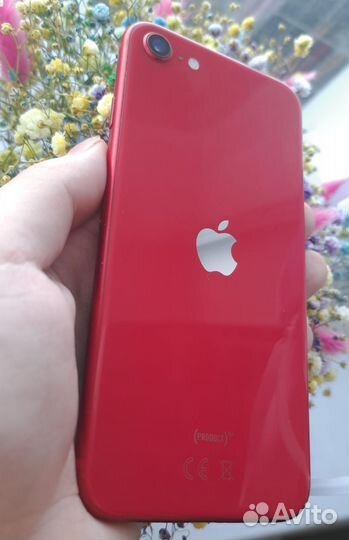 iPhone SE (2020), 64 ГБ