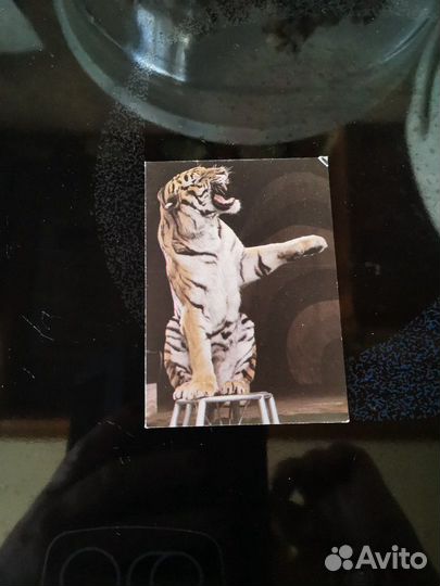 Календарь 1988