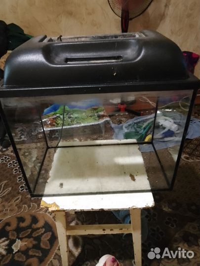 Аквариум