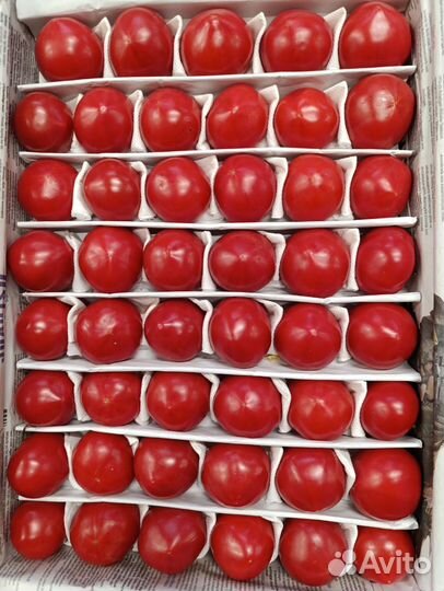 Помидоры