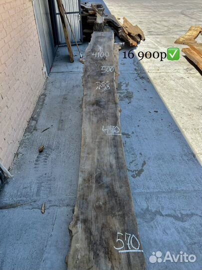 Слэбы Карагача / Слэб сухой / Гигант