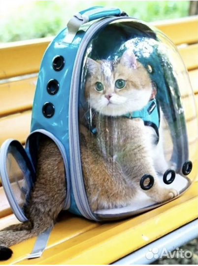 Переноска для кошек